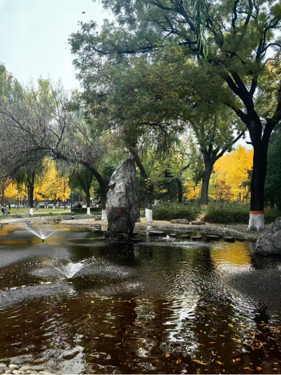 1762481165509711.png image.png